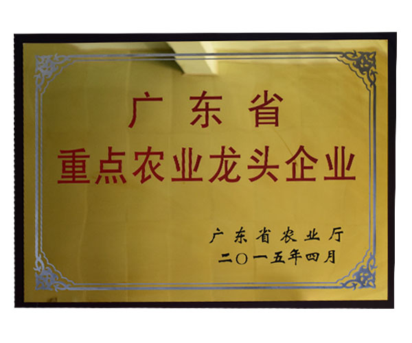 廣東省重點(diǎn)農(nóng)業(yè)龍頭企業(yè)