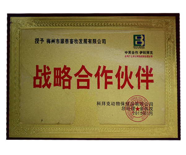 中英合作 伊科拜克戰(zhàn)略合作伙伴