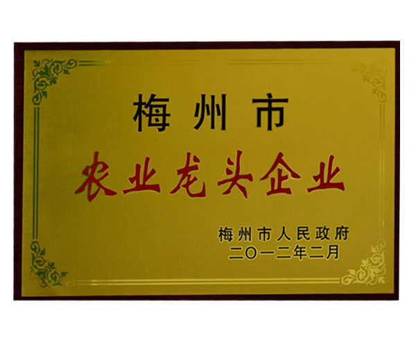 梅州市農(nóng)業(yè)龍頭企業(yè)