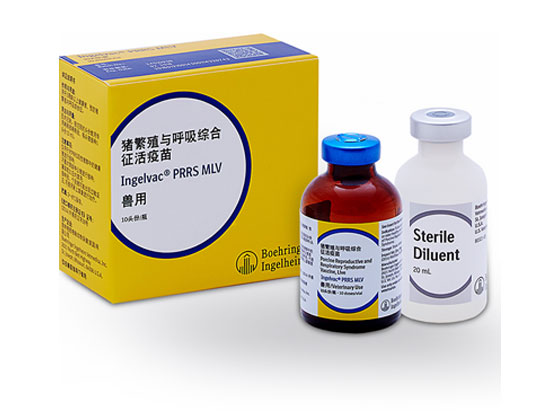 豬繁殖與呼吸綜合征活疫苗 Ingelvac?PRRS MLV